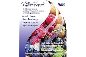 WEB FilterFresh Whole Home Country Berry Air Freshener