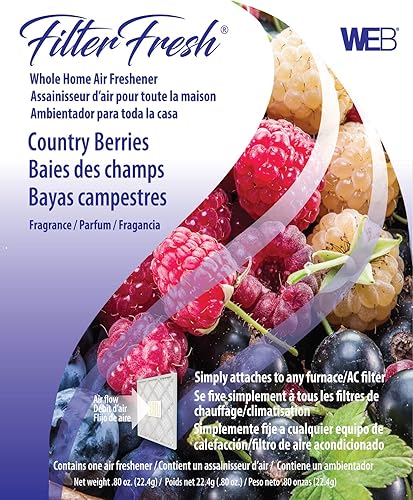 WEB FilterFresh - Ambientador de bayas para todo el hogar