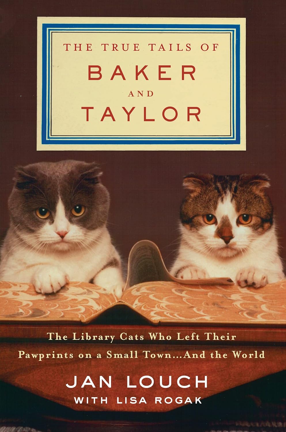 The True Tails of Baker and Taylor The Library Cats Who Left Their