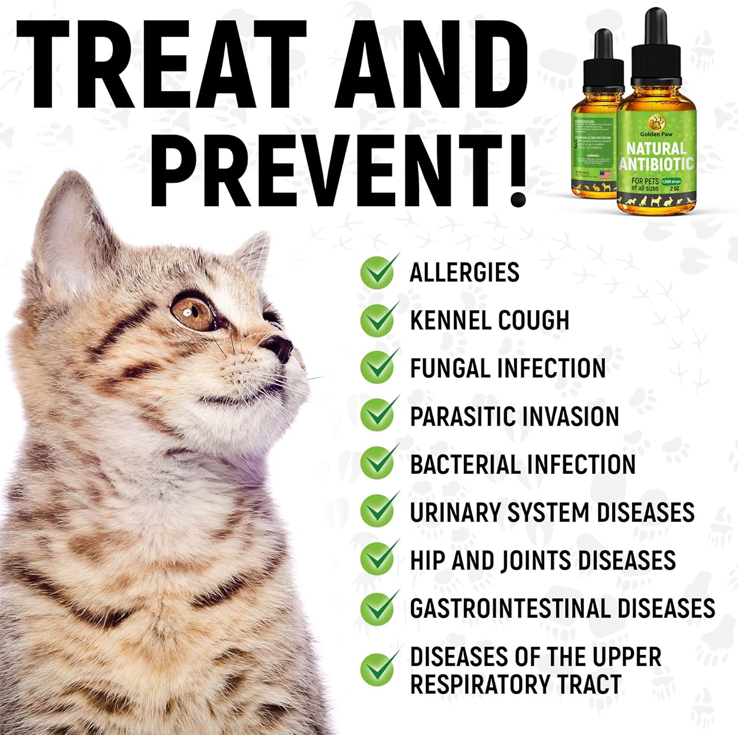 GoldenPaw Herbal Pet Supplement for Cat : Pet Supplies