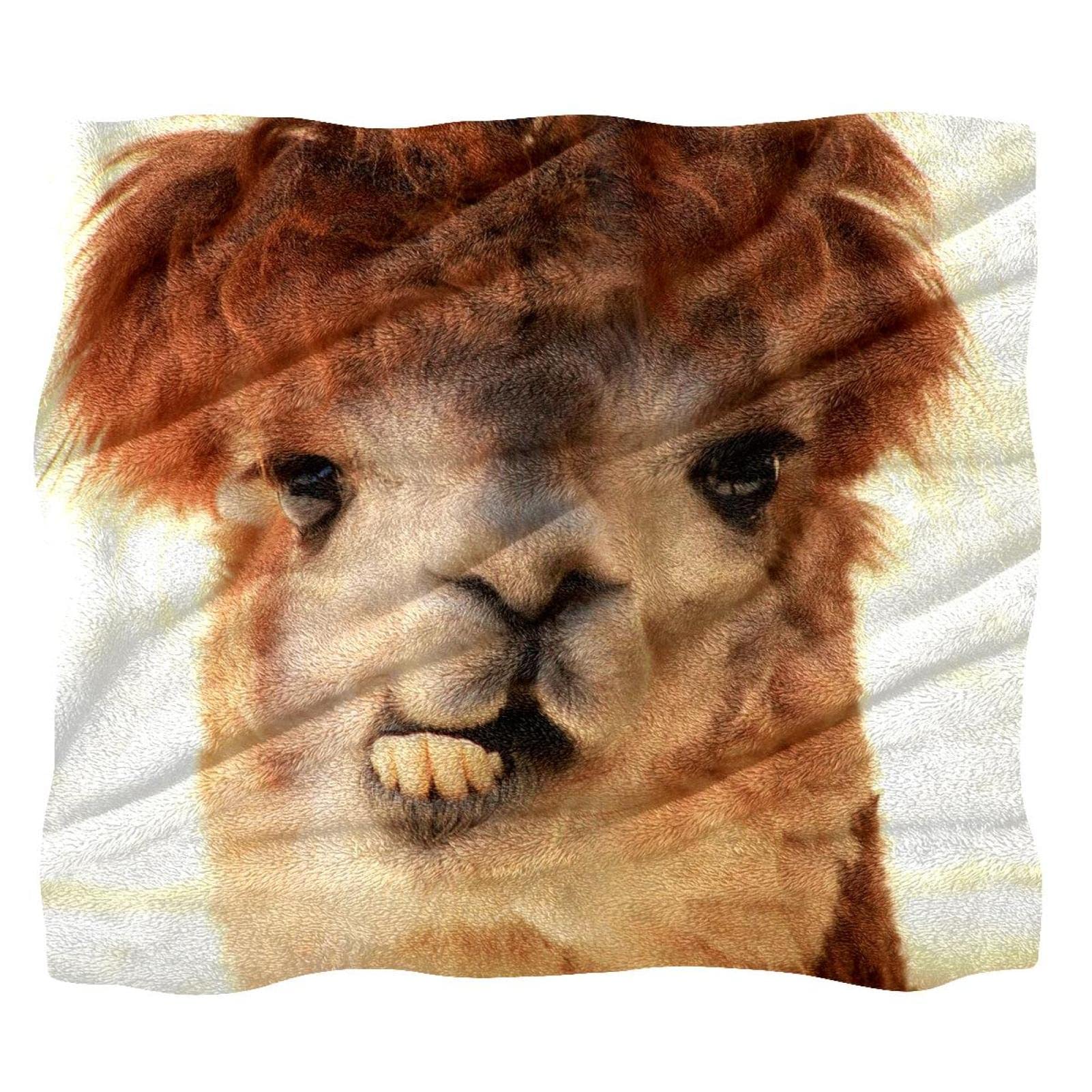 Couverture polaire alpaga contre le froid nocturne plaid chaud pour grand lit et canapé