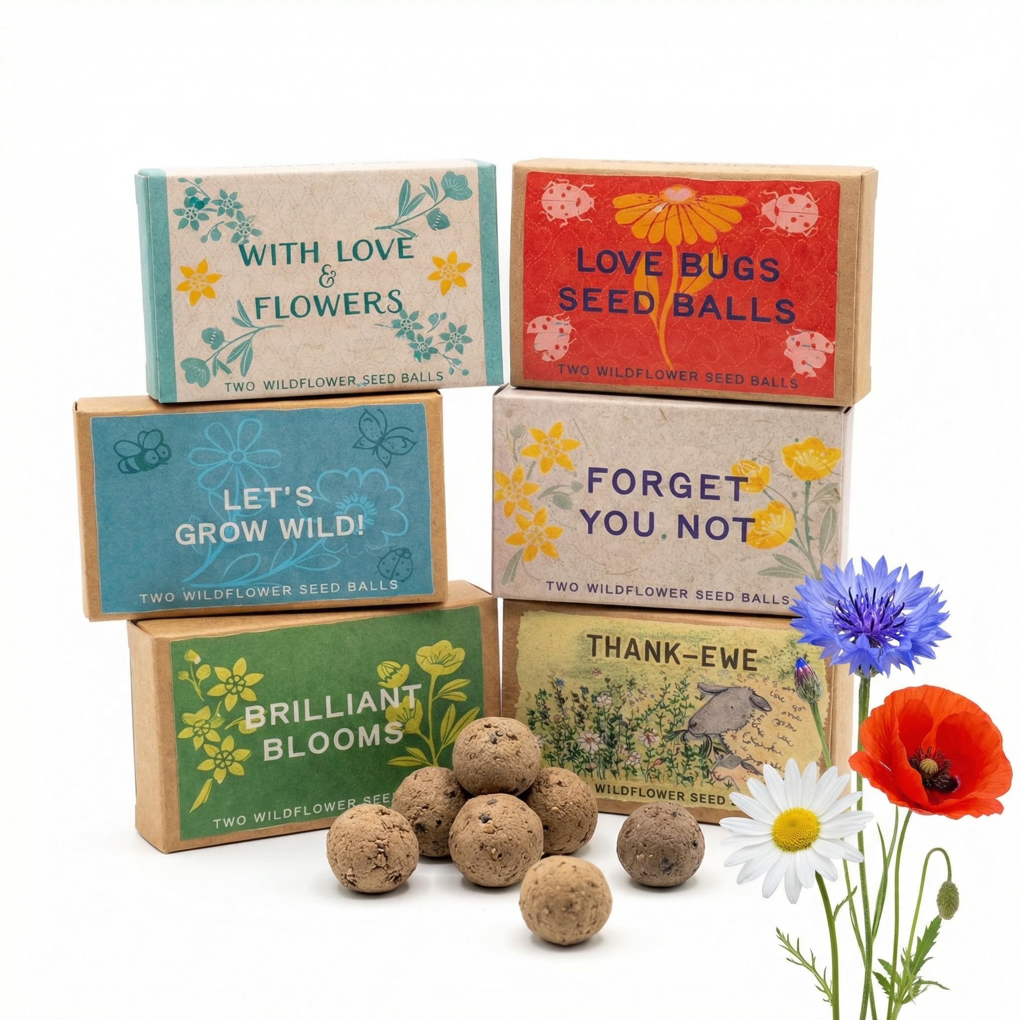 Sussex Seed Balls – Set of 6 Mini Wildflower Seed Ball Gift Boxes | Handmade, Pollinator-Friendly | Eco Gift | Garden Lovers, Party Bags & Easter