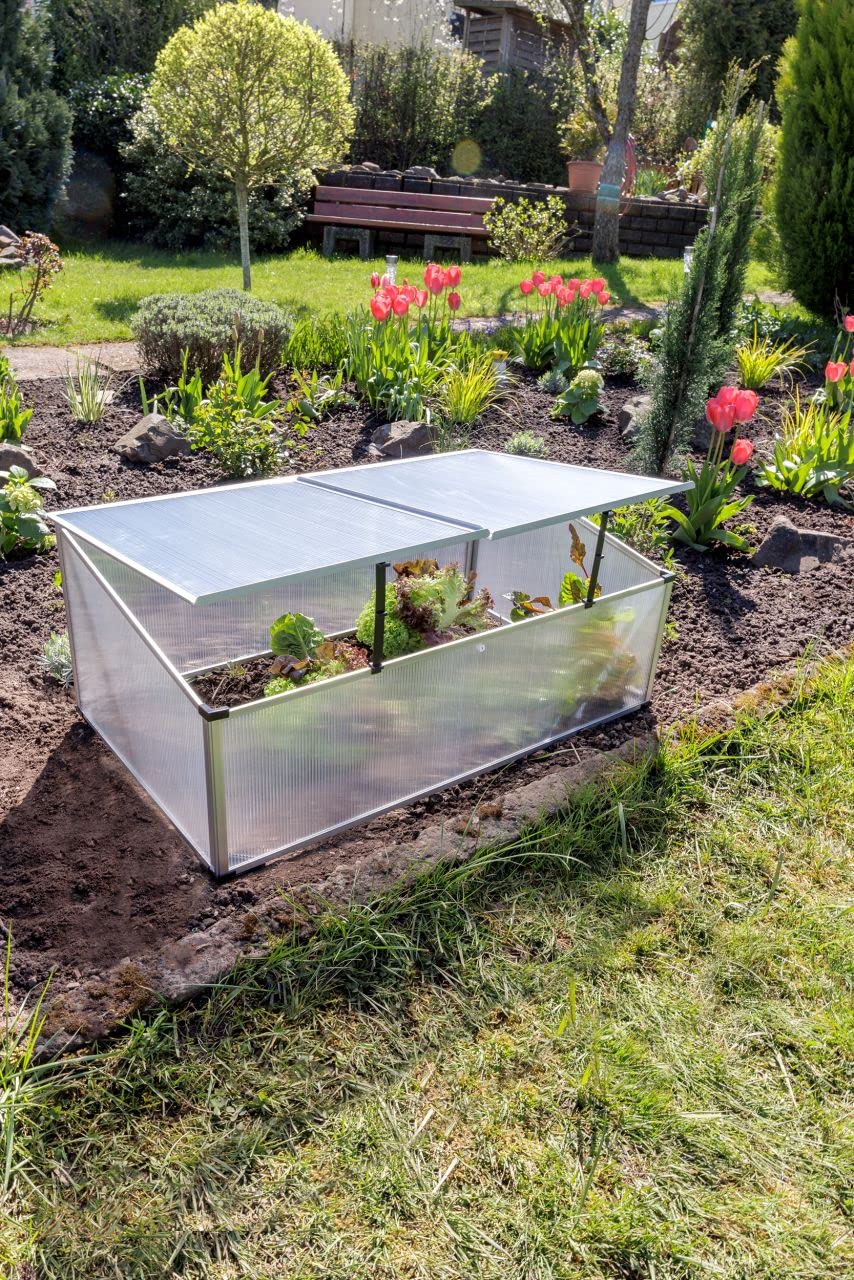 TrendLine Alu Frühbeet 100 x 60 x 30 cm Gewächshaus Tomatenhaus Treibhaus