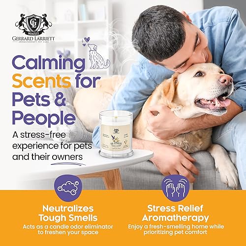 Miniatura 4 de Velas de soya perfumadas y desodorizantes para eliminar los malos olores de las mascotas, un buen regalo para los amantes de los animales