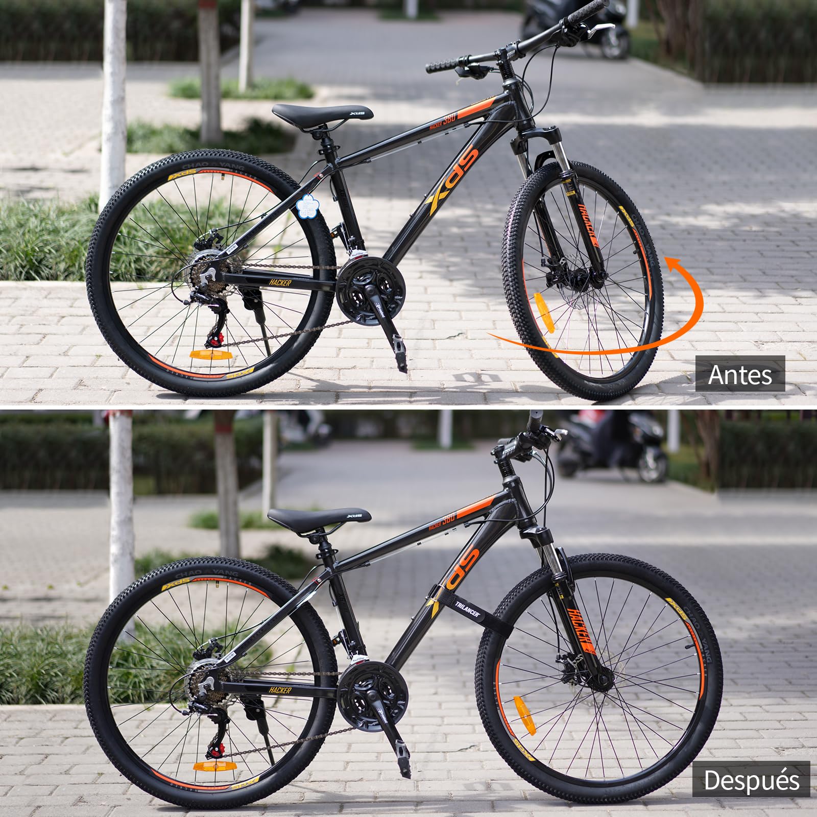 Trilancer Conjunto de 4 Correas de Sujeción Ajustables para Bicicleta, Esenciales para Transporte y Almacenamiento, Incluye Ganchos y Presillas, Soporte de Auto y Pared(65 cm x 3,8 cm)