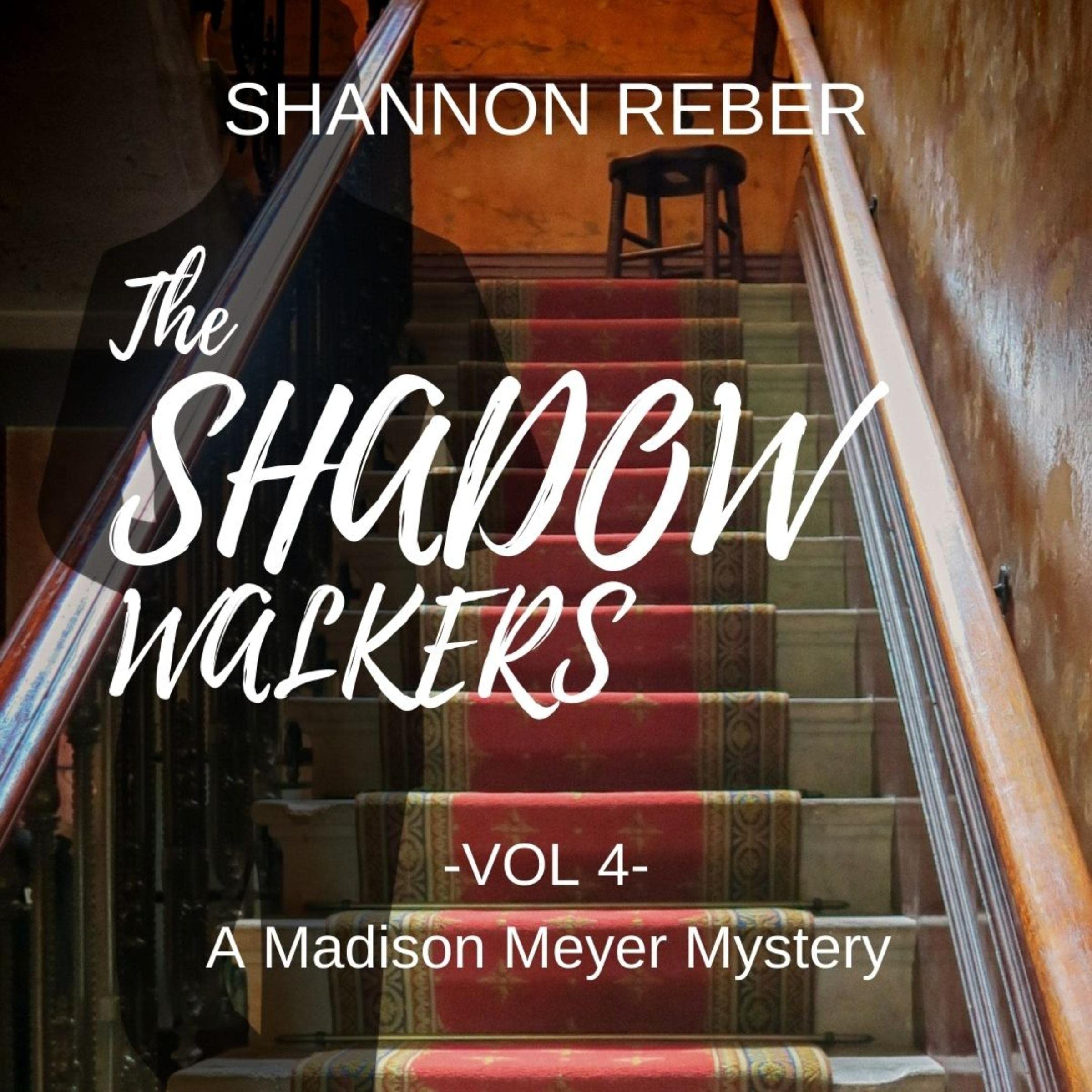 Cover art for The Shadow Walkers
