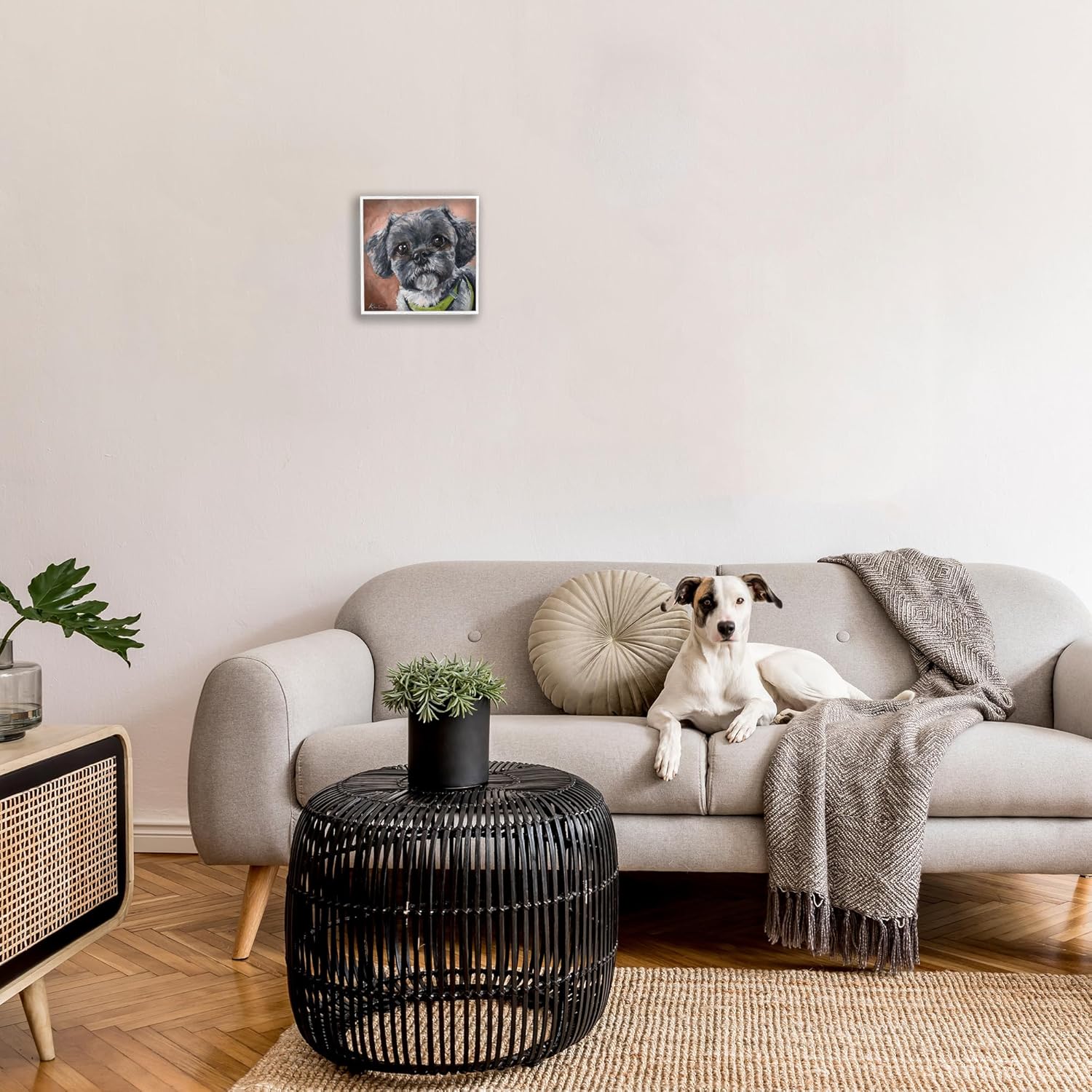 Stupell Industries 'Black Shih Tzu Dog Portrait', Framed Giclee Art, White, 12 x 12 Inches, Easy to Hang and Sturdy, Made in USA, by Lindsay Kivi Fine Art