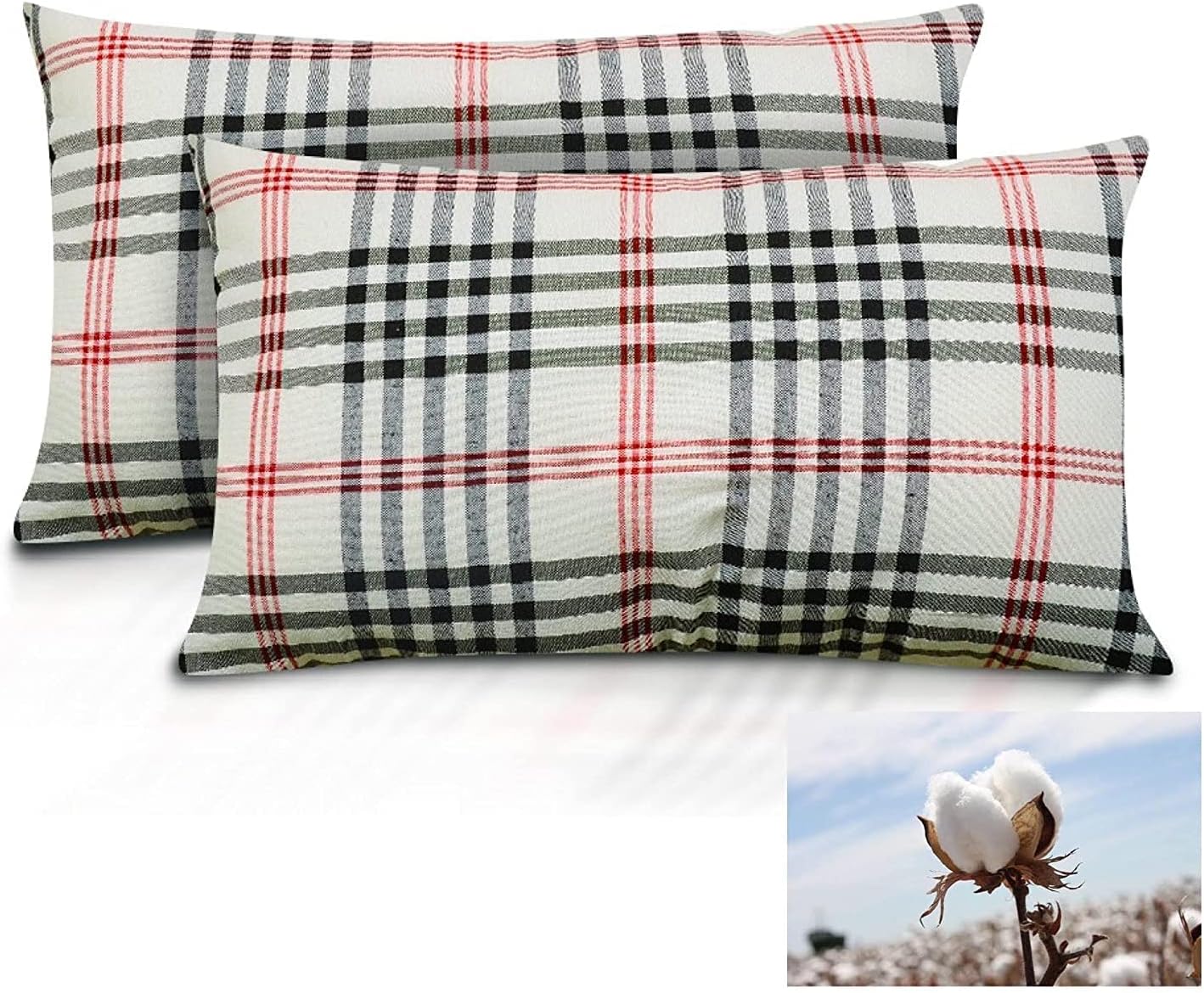 Homerz Premium Set of 2 Organic Cotton Kapas Filled Pillow with Firm Medium Hardness, 16 x 24 Size, 700 gm Pillow