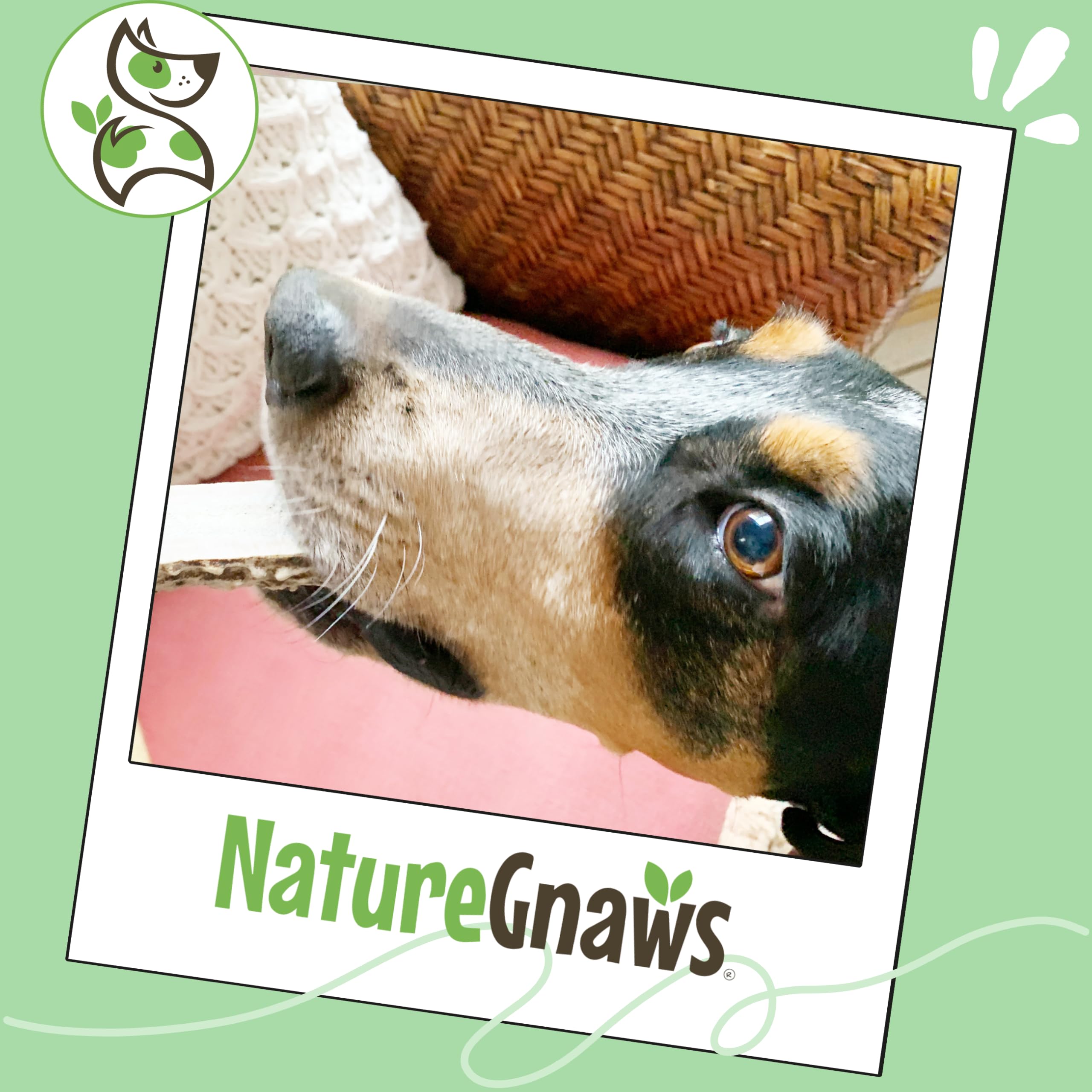 Nature Gnaws Geweih für Hunde – Premium Natürliches Hirsch- und Elchgeweih – Langlebige Hundekauspielzeuge für Aggressive Kauer – Mix aus Split und Ganzem