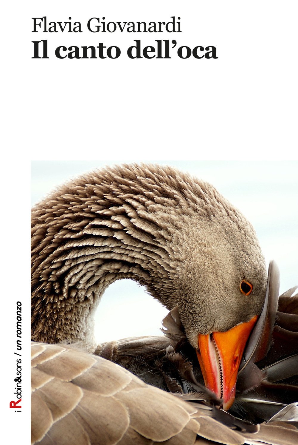 Il Canto Dell'oca - 4