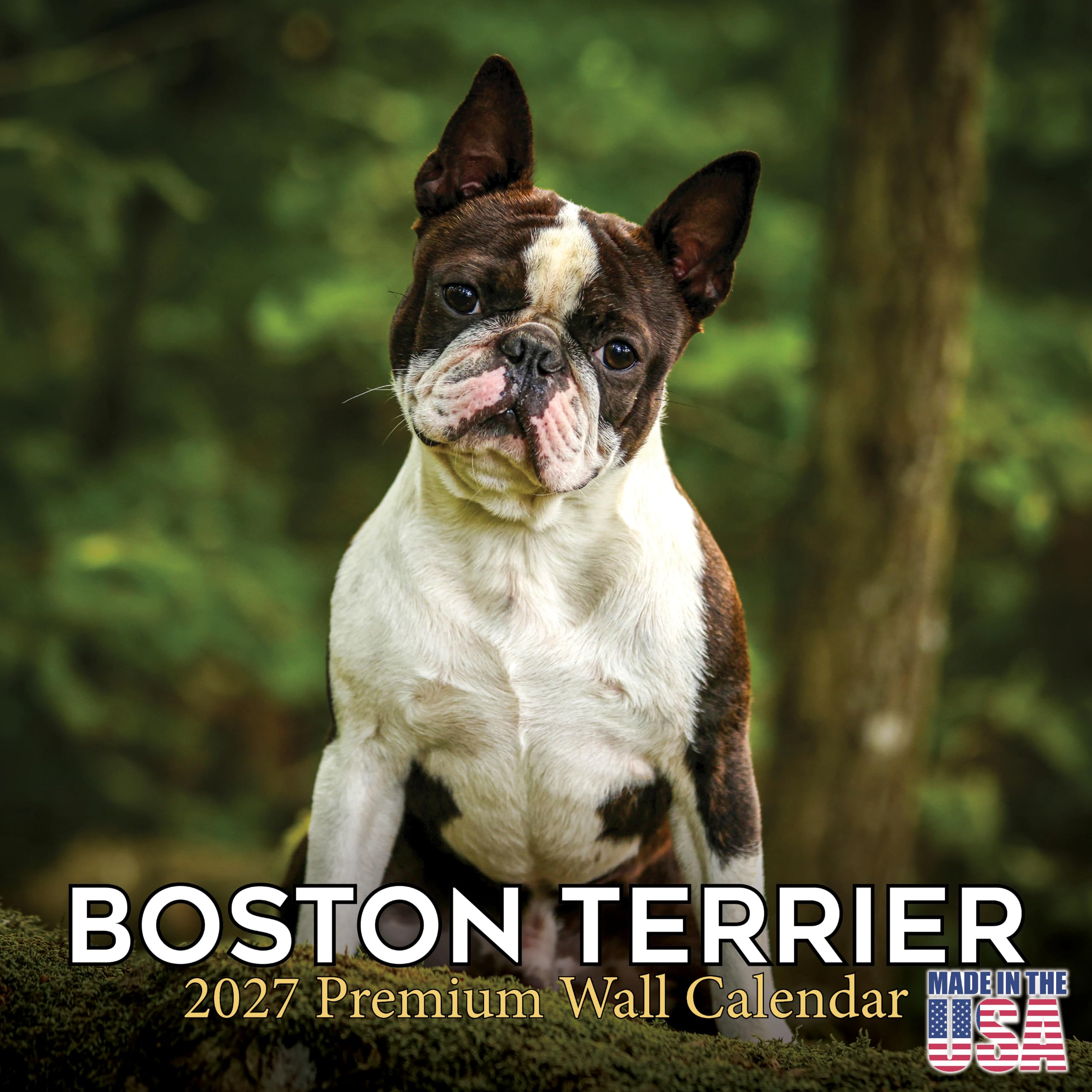 2024 2025 Boston Terrier Calendar - Dog Breed Monthly Wall Calendar - 12 x 24 Open - Thick No-Bleed Paper - Giftable - Academic Teacher's Planner Calendar Organizing & Planning - Made in USA