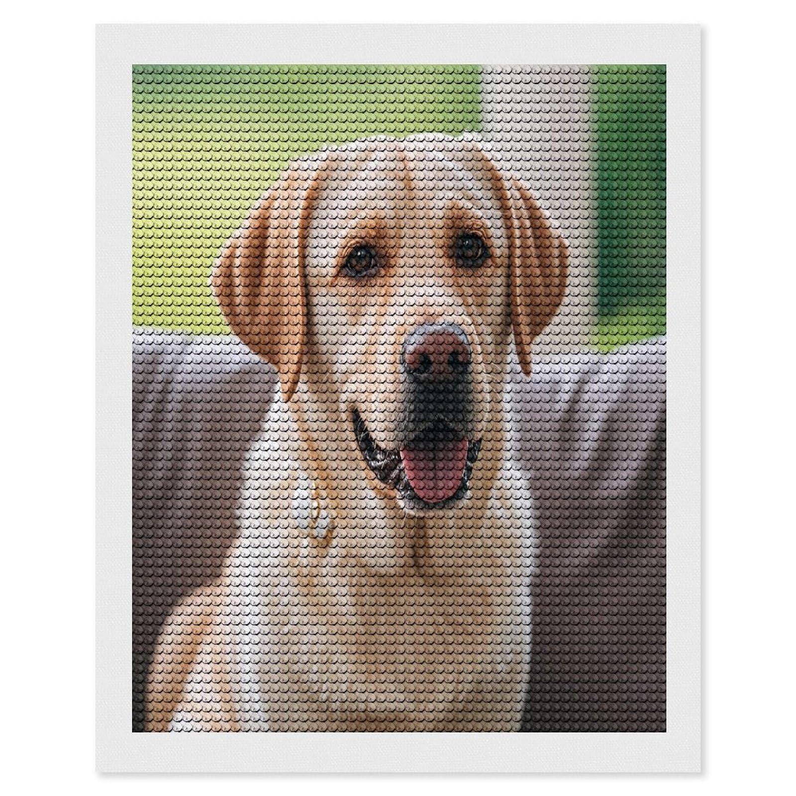 FekiLoot Cute Labrador Dog Diamond Painting Kits for Beginners DIY Diamond Art Kits for Adults Full Drill Round Diamond Dot Gem Art Painting Fun DIY Crafts for Home Kitchen Wall Decor Gift 16"x20"