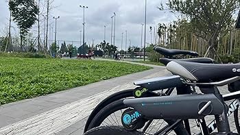 P.wheel 自転車電動ブースター(ブルータイプ) Amazon.co.jp: P.wheel P.wheel 自転車電動ブースター(ブルータイプ) Amazon.co.jp: P.wheel