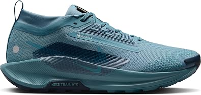 NIKE Men's Pegasus Trail 5 Gore-tex Wasserdichter Traillaufschuh Für HerrenTrail Running Shoe