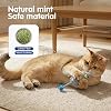 Juguetes con hierba gatera (paquete de 3), ratones para gatos para juego en interiores, pequeños juguetes interactivos para gatos de interior, perfectos para hogares con uno o varios gatos (azul) 5