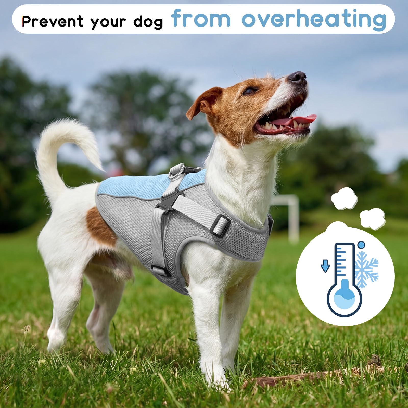 Giubbotto Rinfrescante Cane con Pettorina, Confortevole Cappotto Refrigerante Cane, Mantiene animale Fresco durante Passeggiate Estive, Riposo in Casa e Momenti di Relax(Grigio, L)
