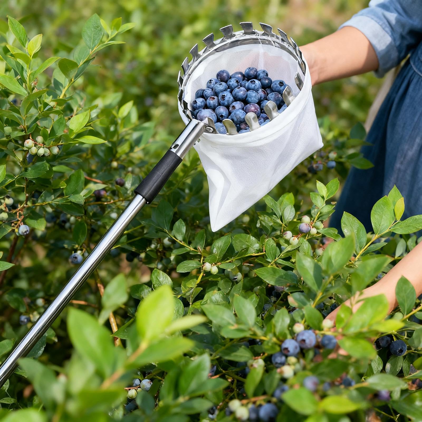 Raccoglitore Di Frutta Con Cesto E Aste In Acciaio