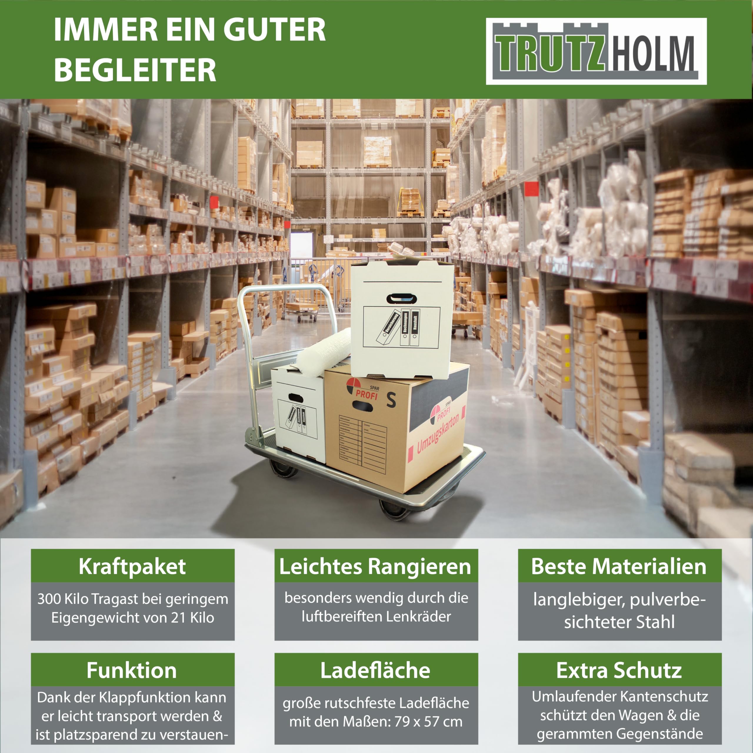 Plattformwagen 300 kg luftbereift Transportwagen Handwagen Paketwagen Transporthilfe mit Lenkrollen Transportkarre 22cm XXL Lufträder kugelgelagert 90 x 60 x 96 (L x B x H)