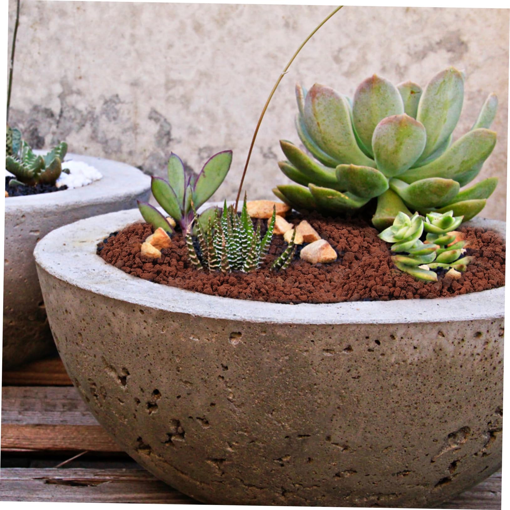 Sosoport Pietre Vulcaniche Decorative per Acquari e Piante per Decorazioni Naturali e per Vasi Acquari e Esterni