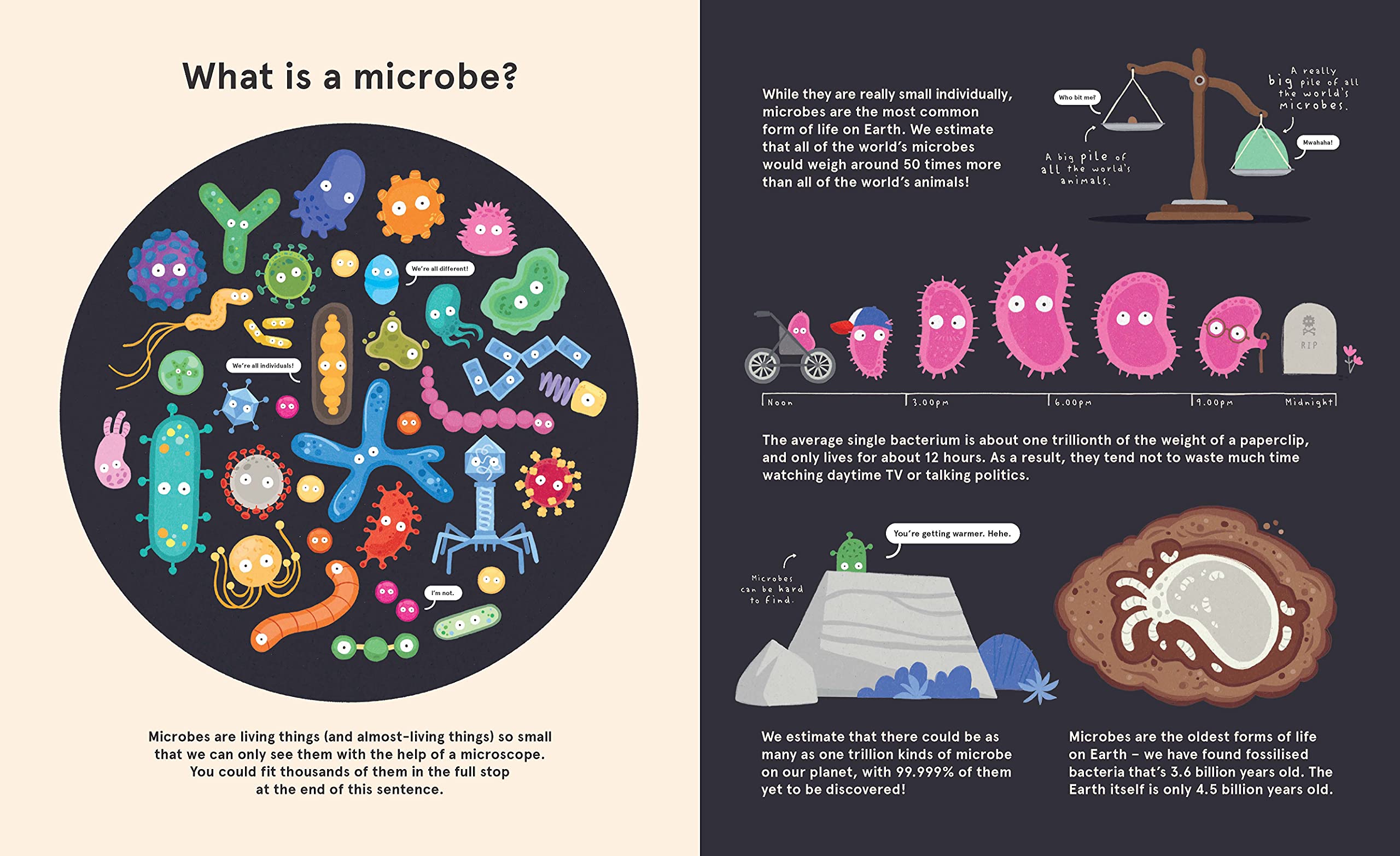 Me, Microbes and I: Meet the viruses, bacteria and other weeny weirdies that share your world.