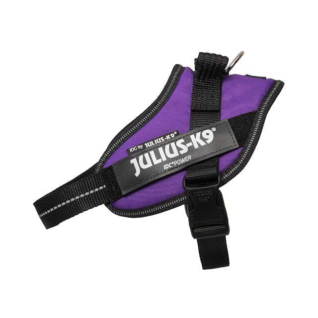Julius-K9 Arnés IDC Power, Tamaño: S/Mini, Morado Oscuro