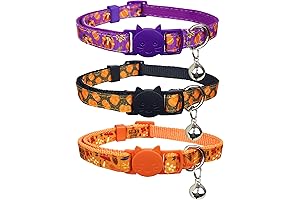 Fall Thanksgiving Cat Collar: Cute and Comfortable Accessory for Your Feline Friend