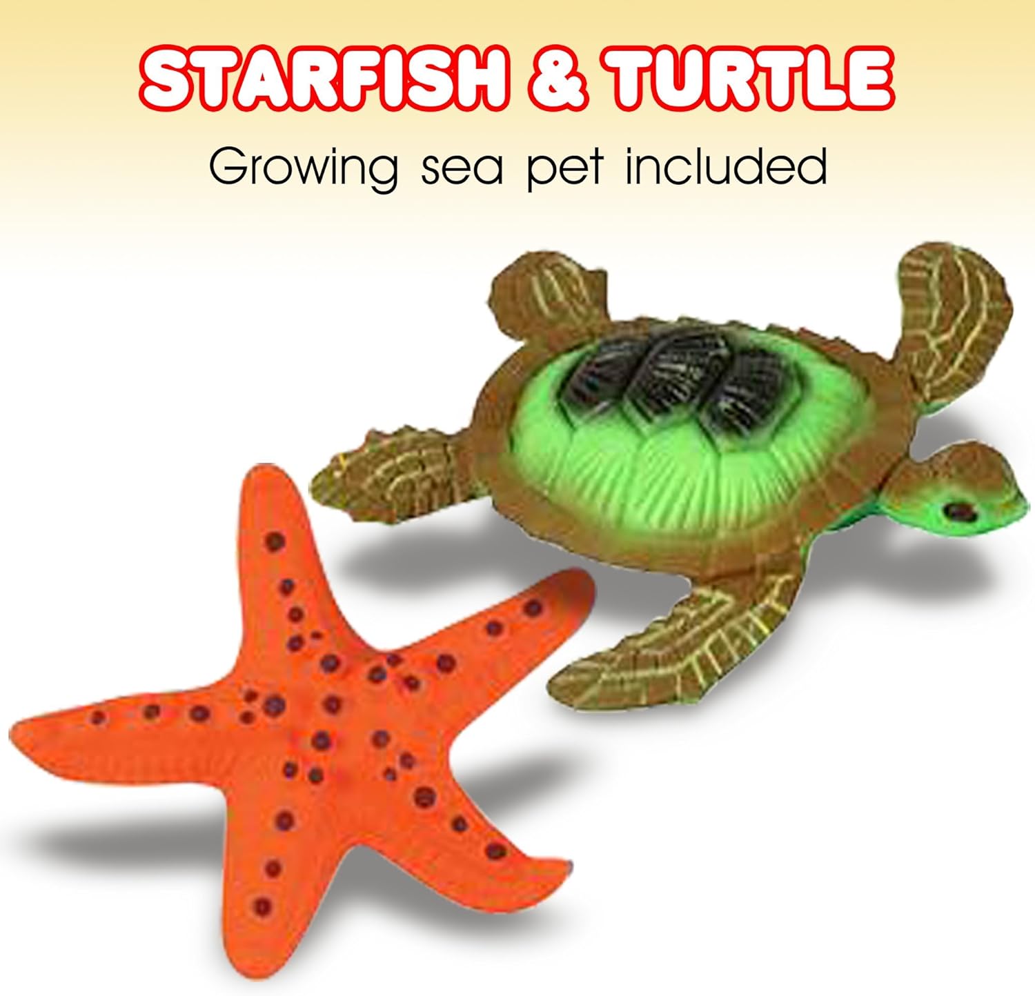 Dengiz hayvonlari bilan jinsiy aloqa Dengiz hayvonlari bilan jinsiy aloqa