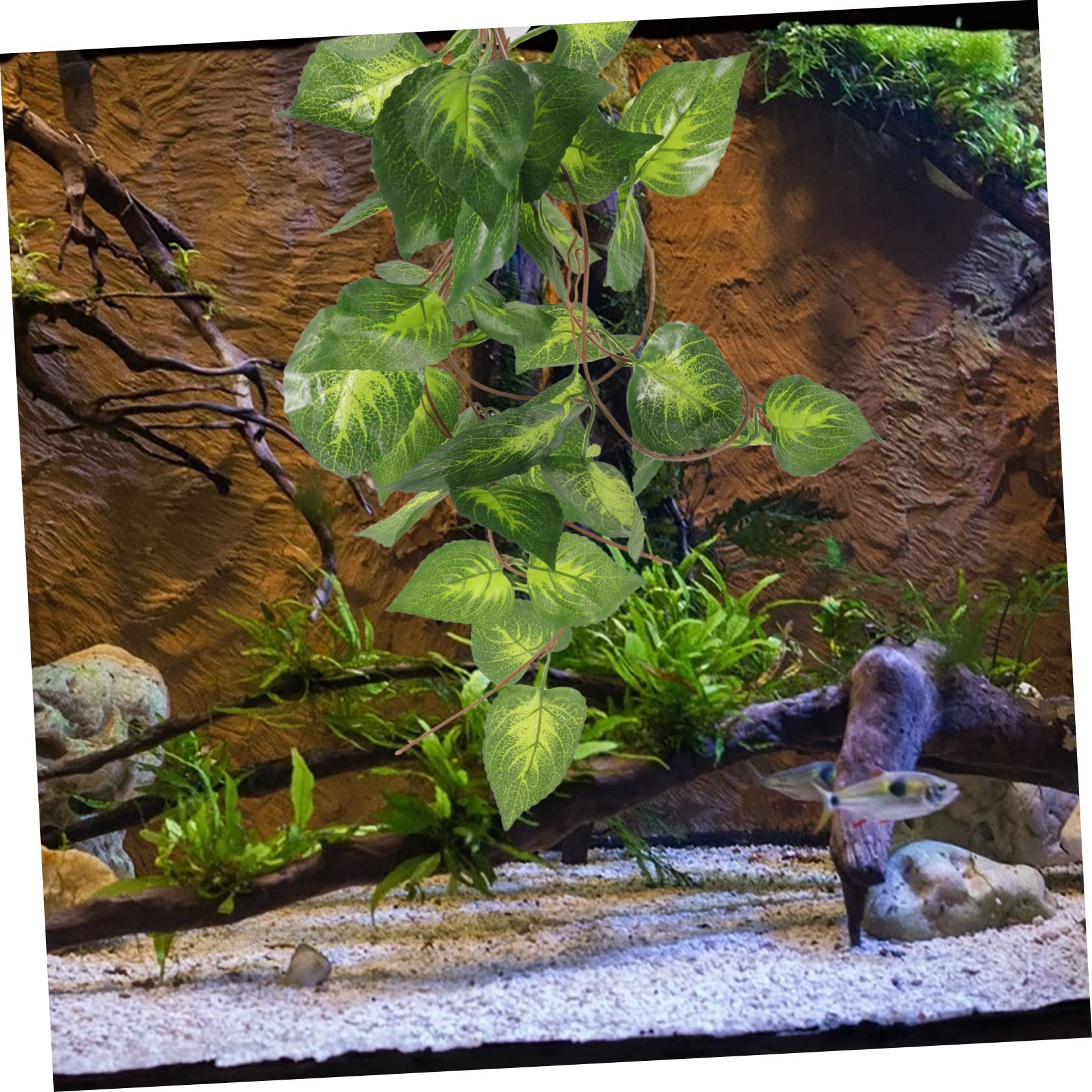 minkissy 3 Plantas De Reptiles Vibrantes Y Decorativas para Terrario Seguras para Animales.