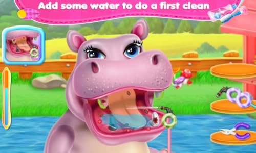 Hippo Dentist Care – vue 4