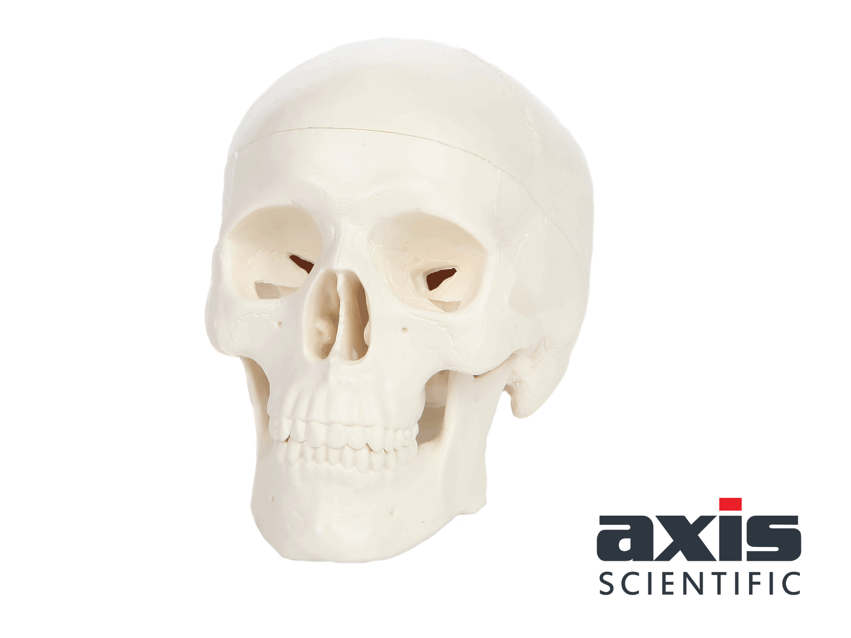 Amazon.com: Axis Scientific 3.5