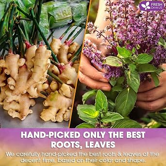 FreshDrinkUS, Premium 75 Ginger Tulsi Tea Bags, 100% Natural, Hand-made Blend of Ginger and Tulsi Holy Basil Leaves, Eco-conscious Tea Bags. No Sugar, No Caffeine, Vegan.