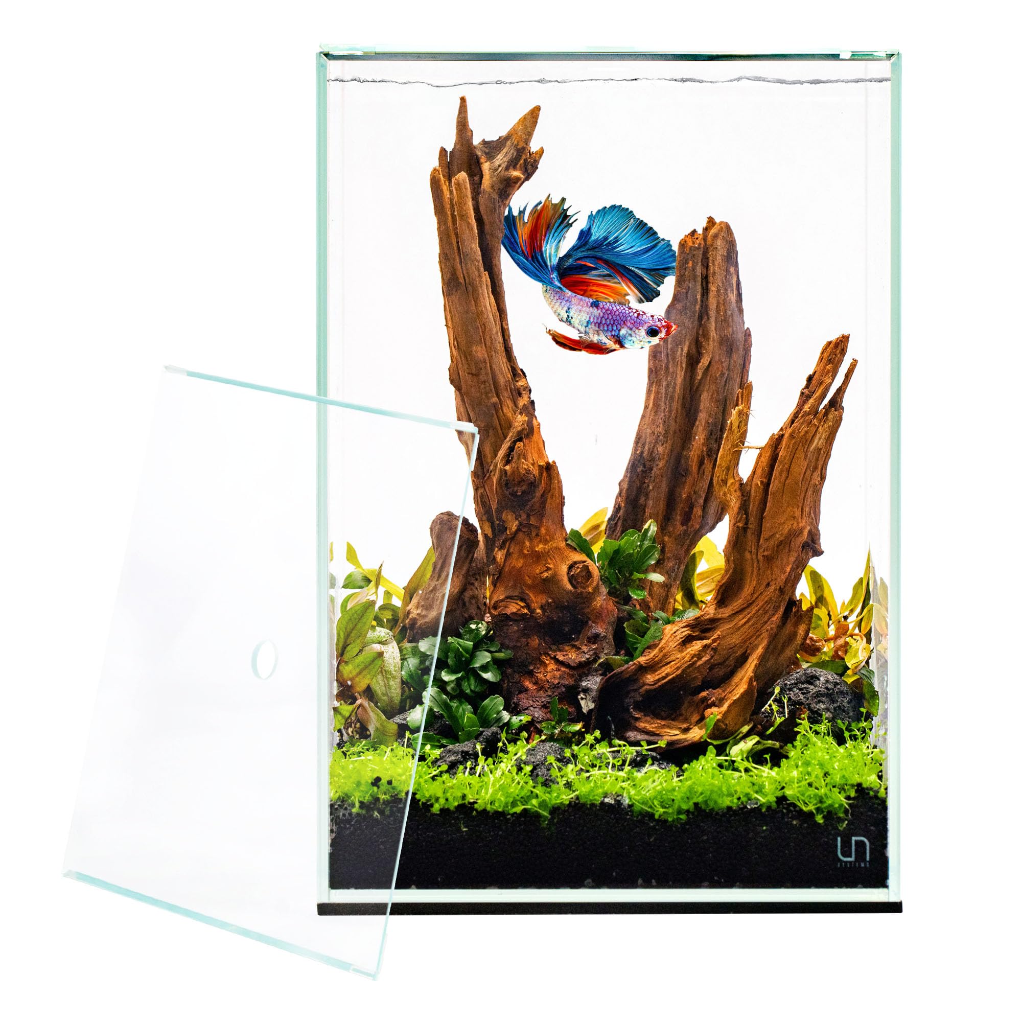 Ultum Nature Systems Prism Rimless Glass Aquarium - Cube Tank with Mitered Lid, Tall Nano Fish Tank for Home & Office - UNS Prism, 30TM