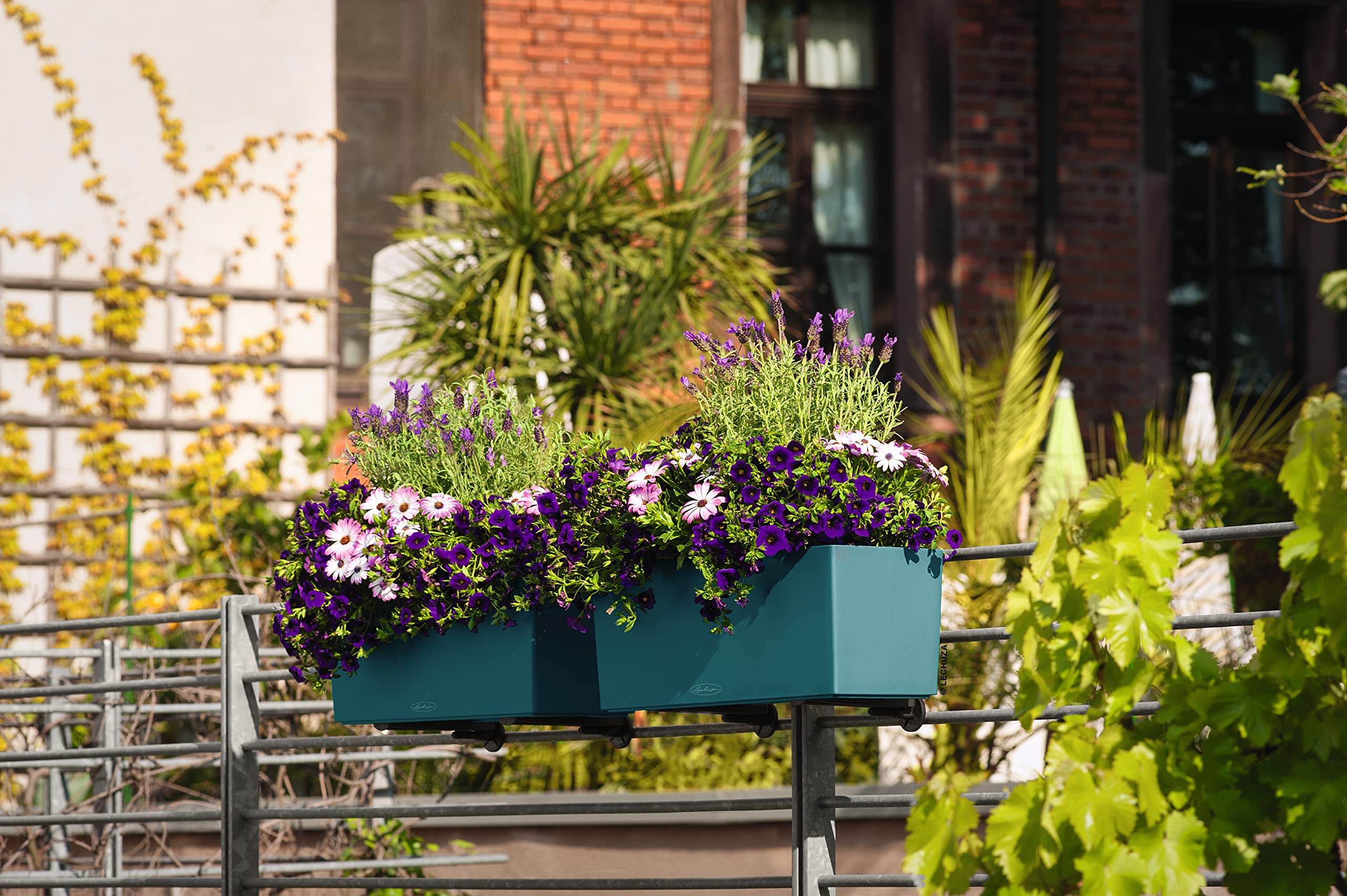 50 Couleurs - Couleur Spéciale Exclusive Capri, 50 X 19 X 19 Cm[J7219