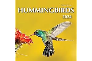 Birds in Paradise: a Lavish 2024 Hummingbird Calendar for the Avid Admirer