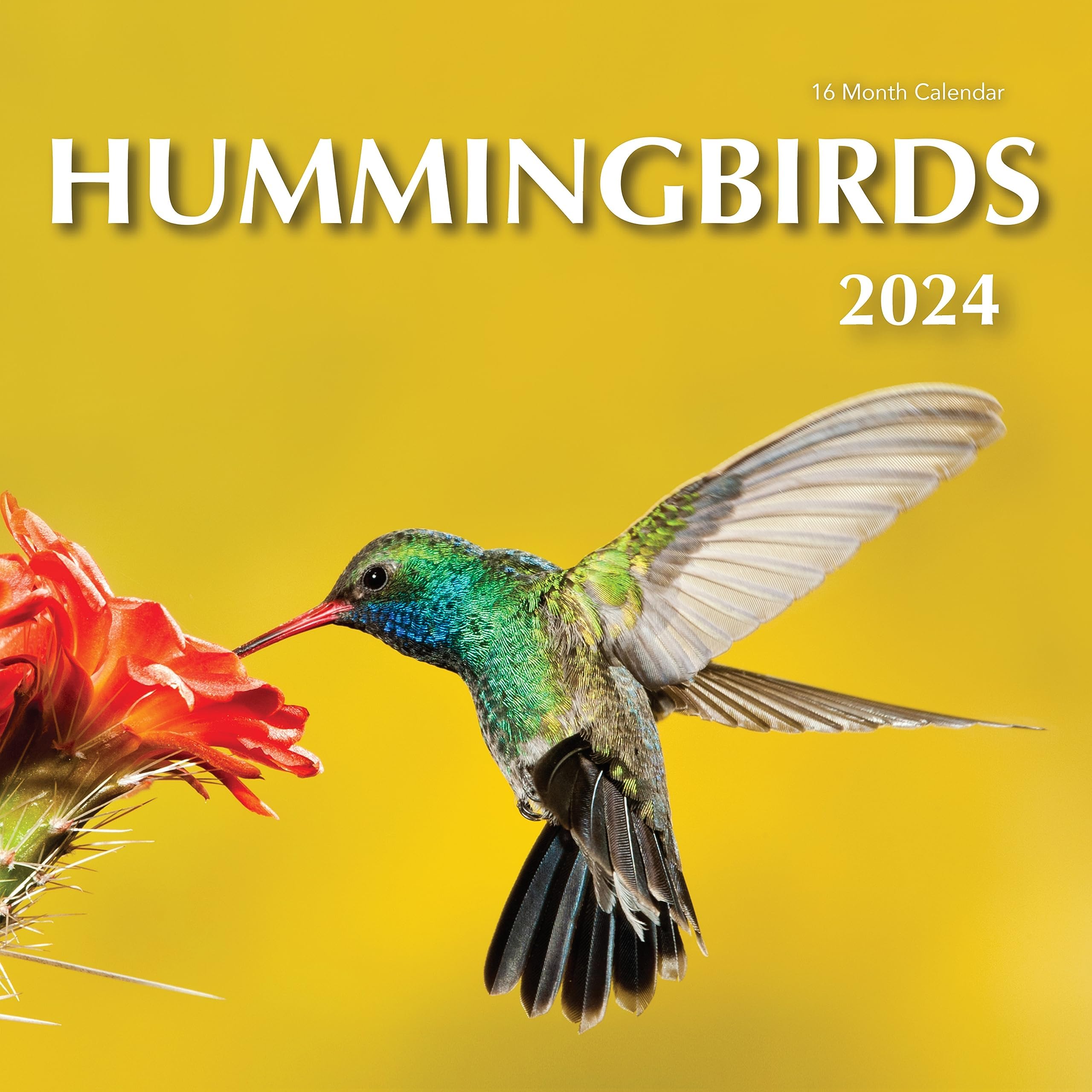 Favor Parts2024 Hummingbirds Hangable Wall Calendar Monthly - Beautiful Wildlife Bird Photo Gift - Birds Nature Photography - Gifting for Him Her- Sturdy 12" Large Full Page 16 Months Organizing & Planning -