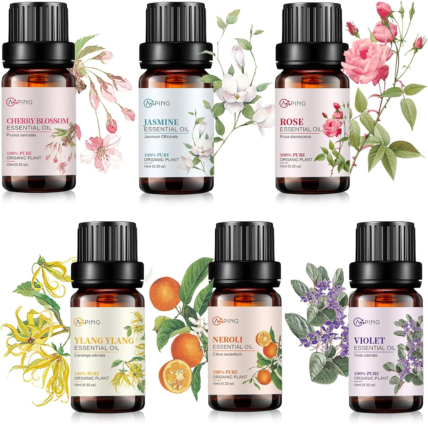 Essential Oil Set 6x10ML – 100% Pure Organic Plant Oil for Diffuser Massage Aroma Spa Yoga Perfume – Cherry Blossom, Rose, Jasmine, Violet, Neroli, Ylang Ylang
