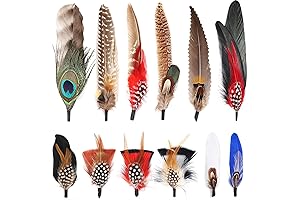 Vibrant Natural Peacock Feathers: Elevate Your Cowboy Hats and Unleash Your Western Spirit