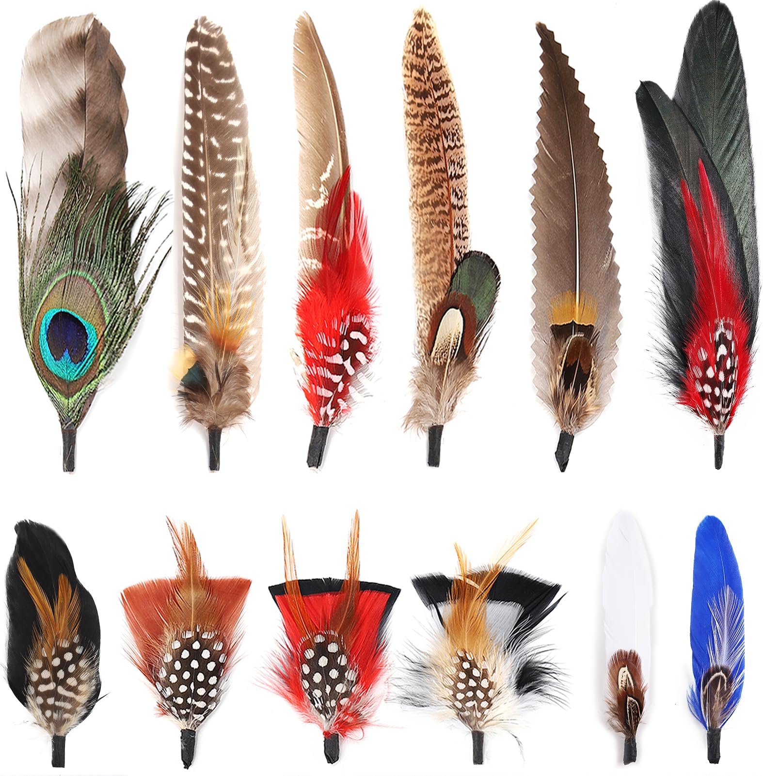 FeelfunFeather Hat Natural Peacock Feathers - 12PCS Colorful Real Feathers for DIY Fedora, Cowboy, Christmas Party, Oktoberfest, Trilby Hats