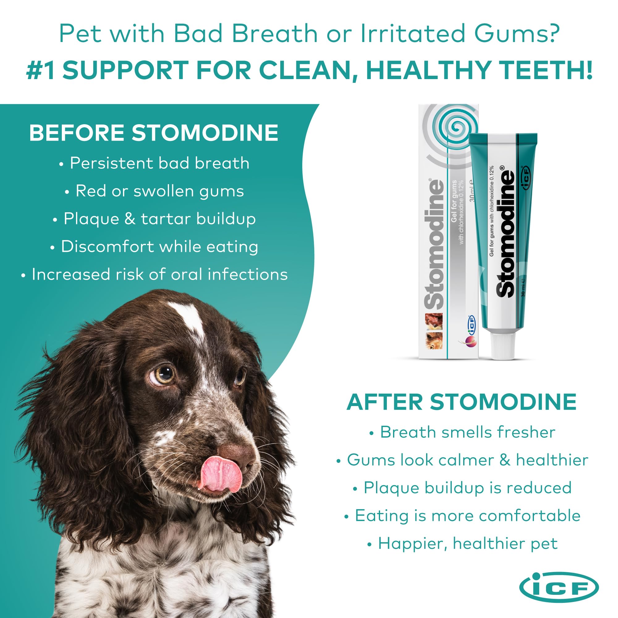 I.C.F. Stomodyne 30 Ml