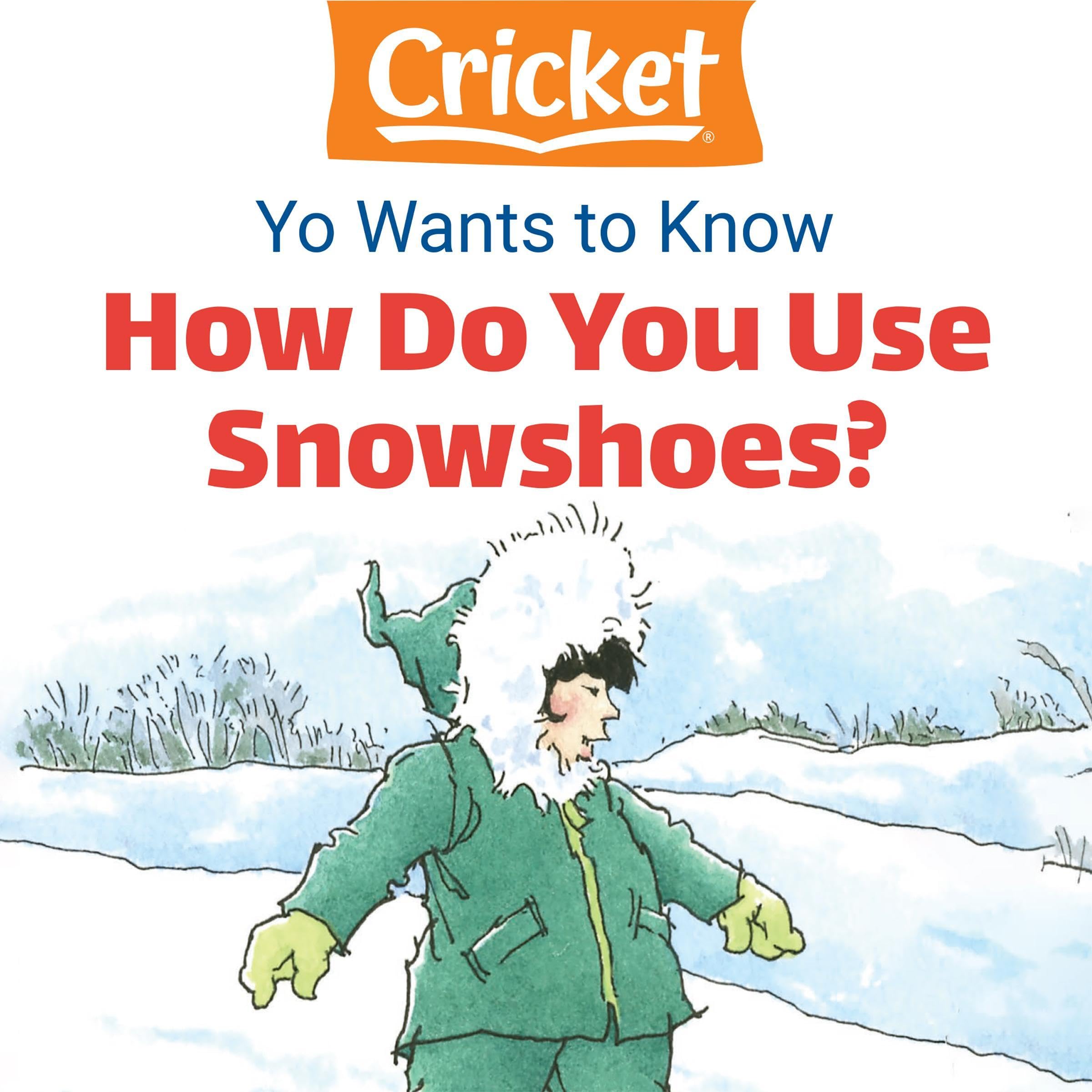 Yo Wants to Know: How Do You Use Snowshoes?