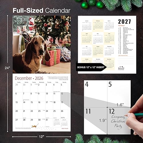 Miniatura 5 de MICASA PRESS Basset Hounds - Calendario de pared 2026 de 12 meses  12 x 24 pulgadas abierto  Papel grueso y resistente  Regalo de vacaciones  Lindo