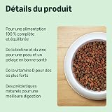 by Amazon Complete Dry Cat Food for Adult Cats with Tuna & Herring, 1 pack of 10kg - 2