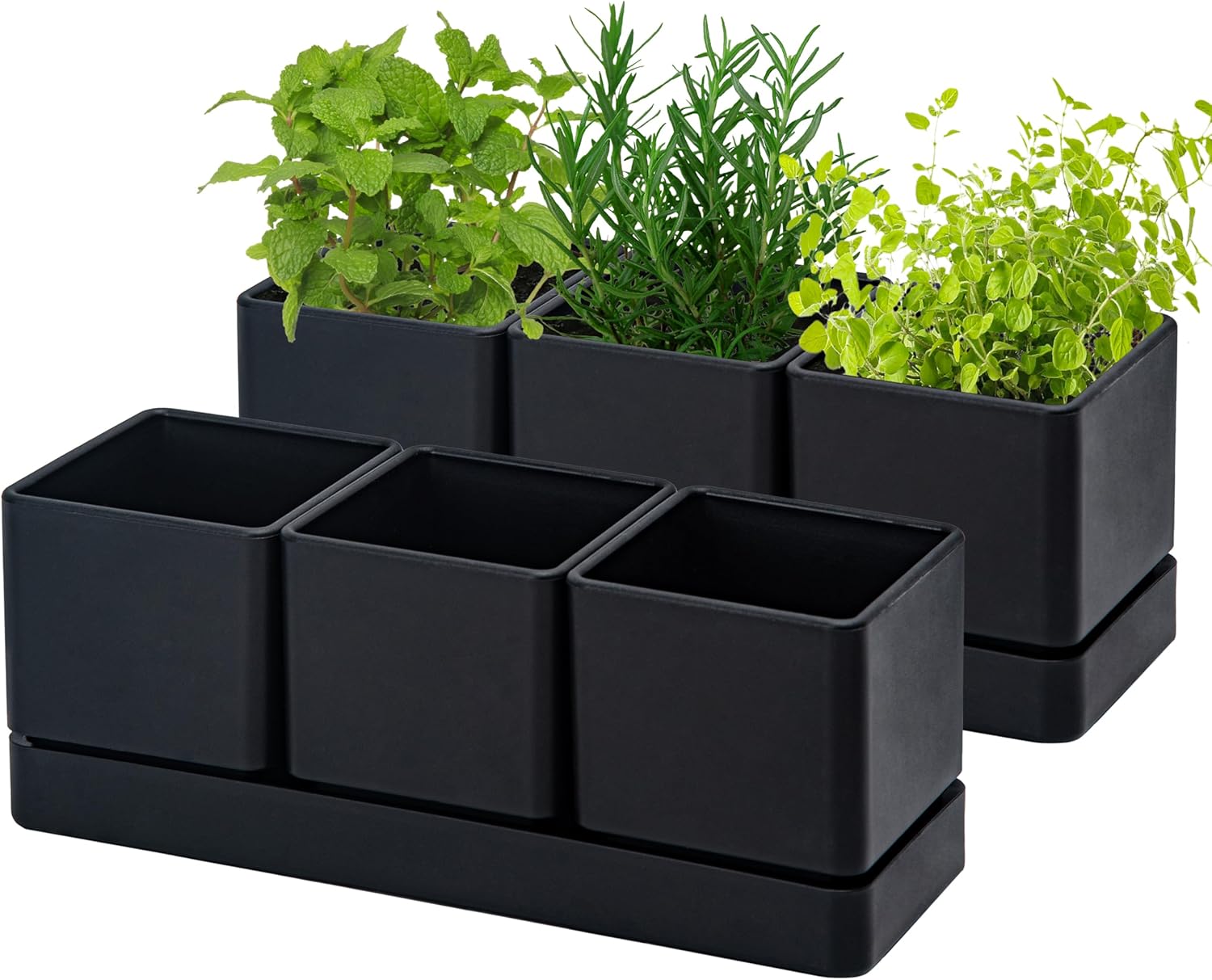 D'vine Dev Herb Garden Planter Set, Plastic Plant Pots with Drainage and Saucer, Indoor Succulent Cactus Vegetable Pot for Windowsill, Garden Balcony, Black, Set of 2, 76-V-B-2