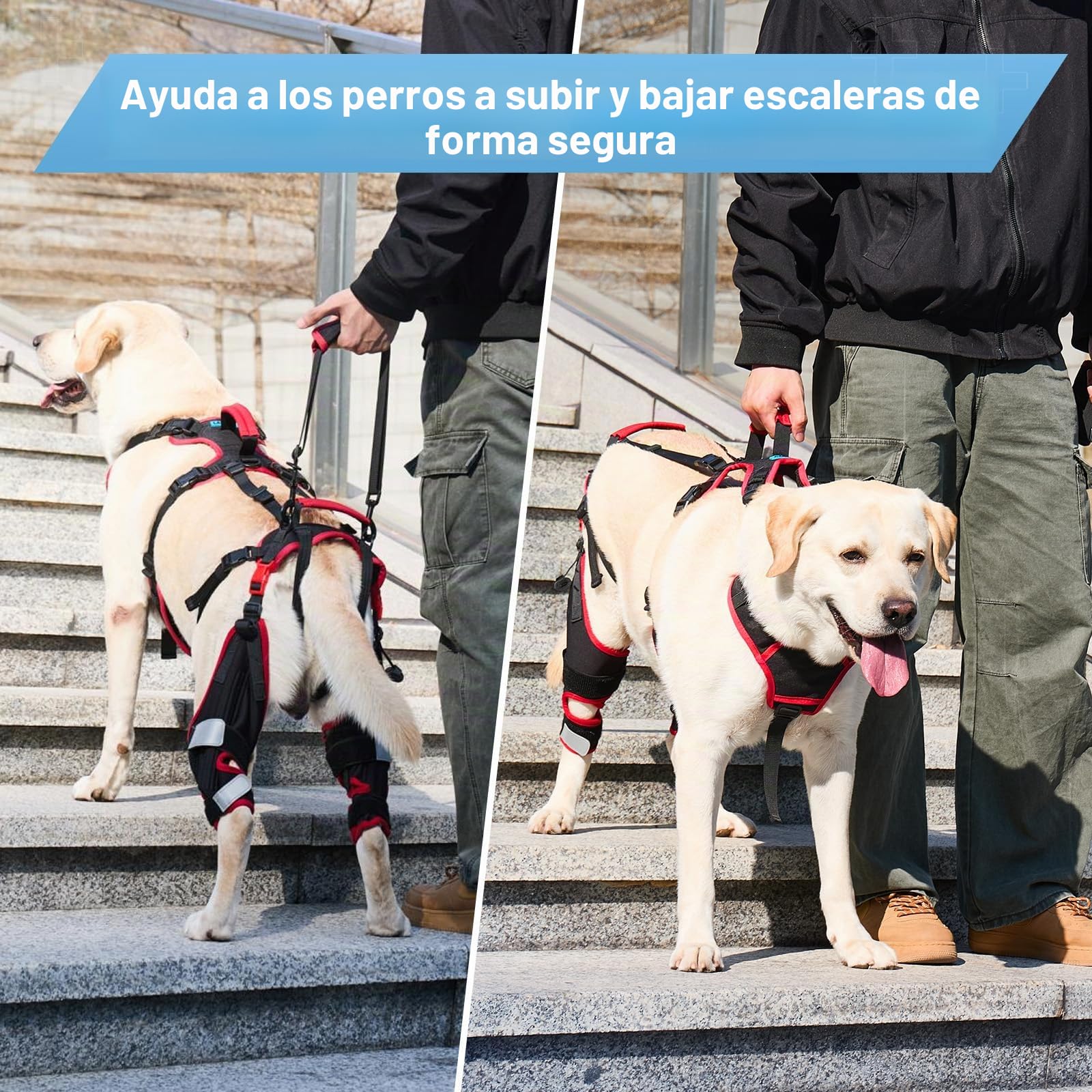 Rodillera para perro con arnés de elevación para patas traseras, juego de 2 – Soporte antideslizante ajustable para perros grandes y mayores, lesión ACL/CCL y ayuda a la movilidad, negro, XL