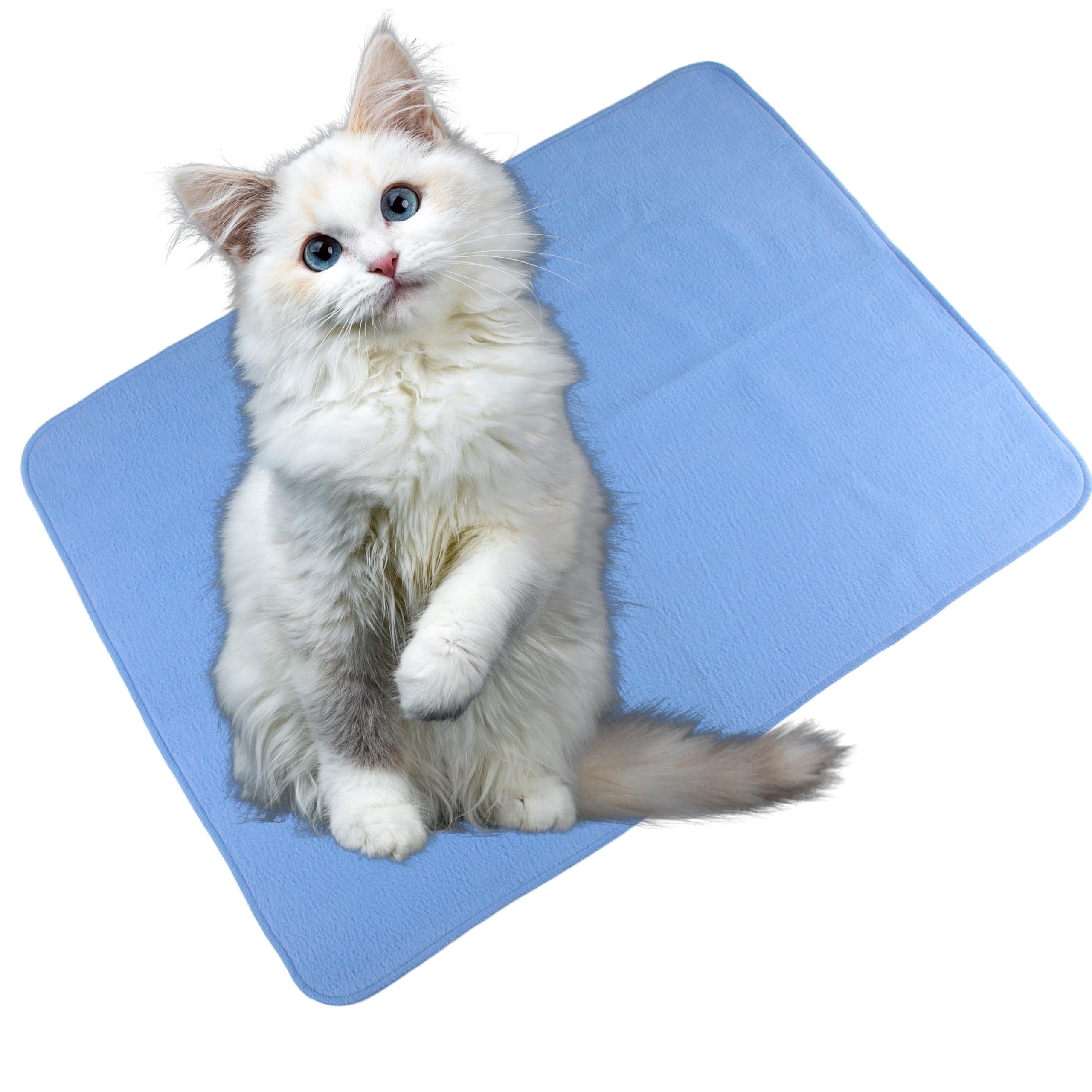 See full amazon price history chart for Catmat Premium Reusable Pee and Training Pads for Cats | Absorbent Washable Mats | Eco-Friendly Training Solutions (CATMAT_Pink) Catmat Premium Reusable Pee and Training Pads for Cats | Absorbent Washable Mats | Eco-Friendly Training Solutions (CATMAT_Pink) (B0CVVKVK9J) Amazon Price History, Amazon Price Tracker