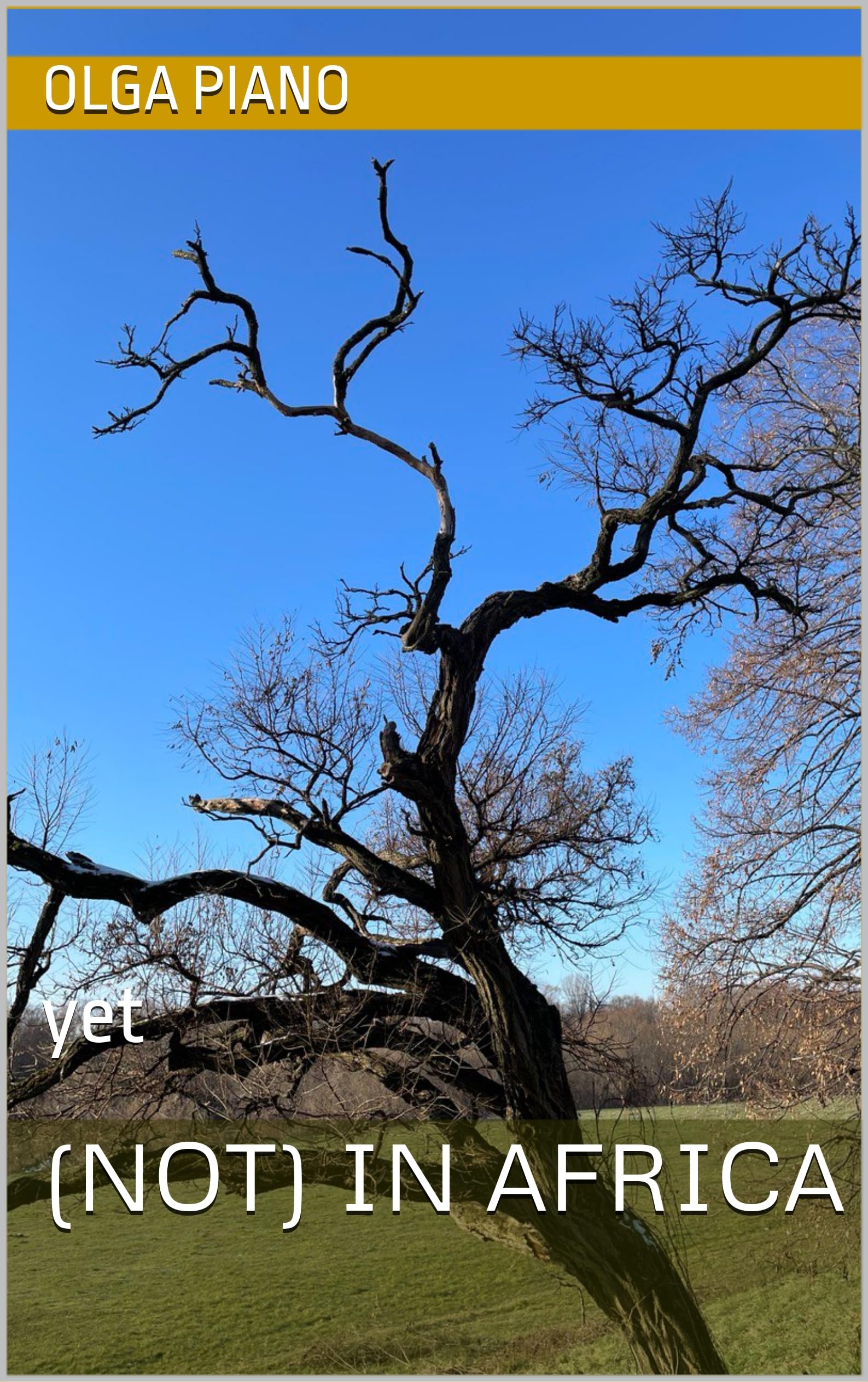 (NOT) IN AFRICA: yet (Strange) (English Edition)