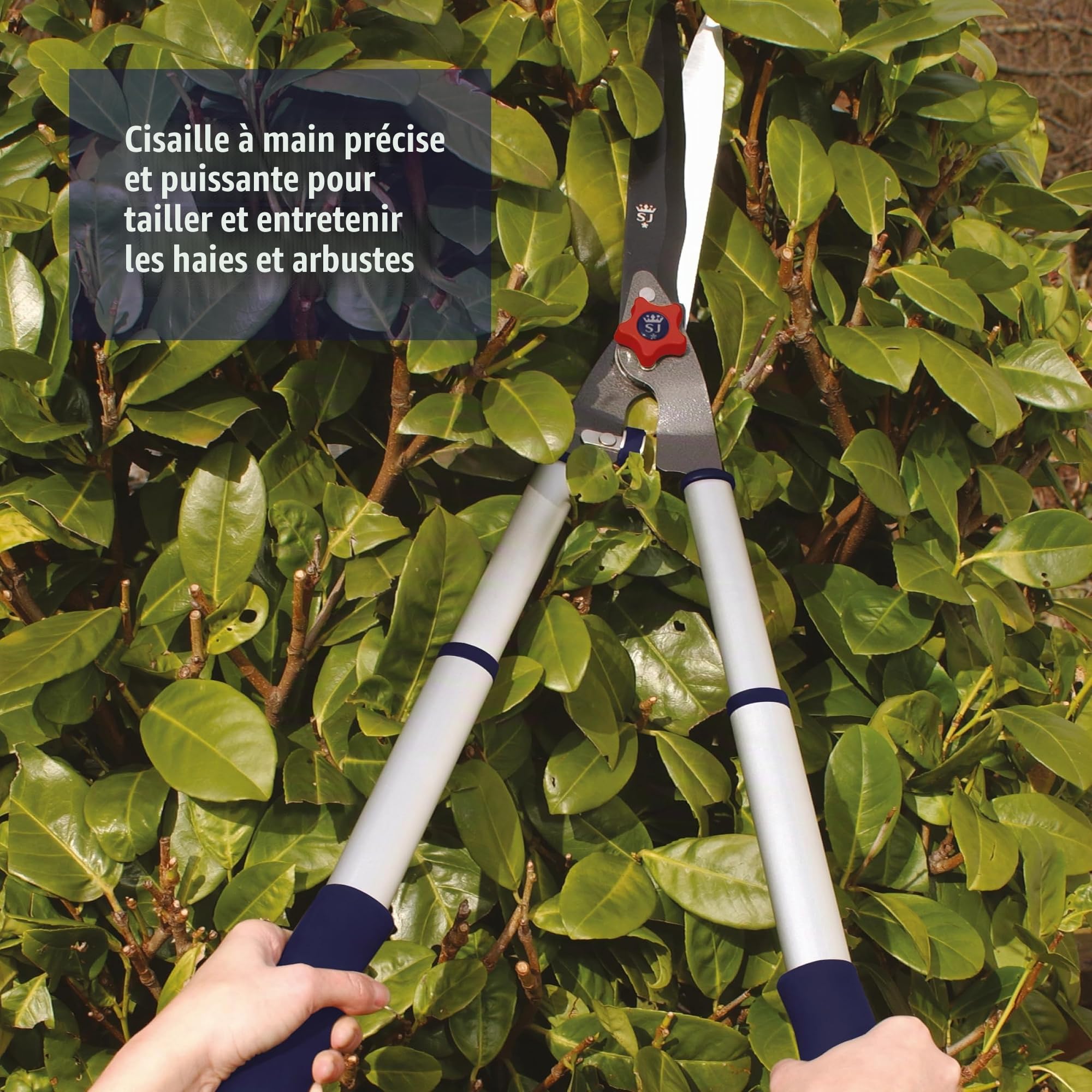 Spear & Jackson 8120RS Cisaille à haie télescopique Razorsharp