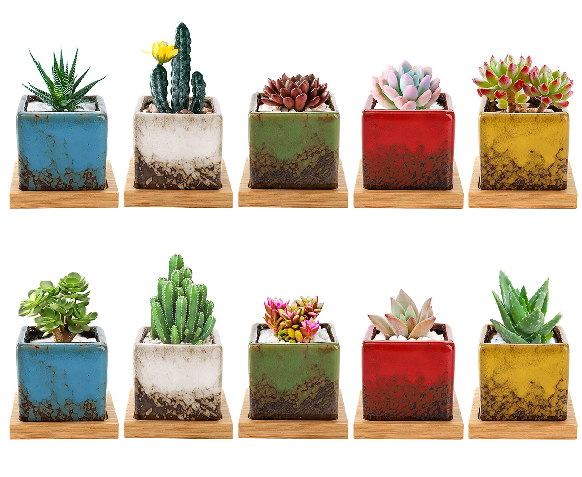TOPZEA Set of 10 Succulent Planter Pots - Image 2