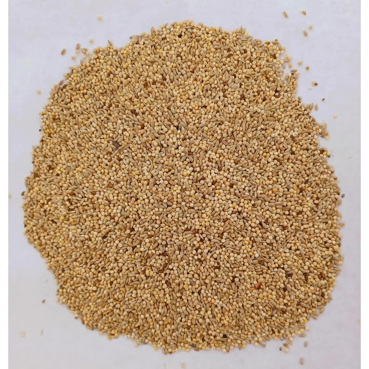 Superpet Premium Budgie Mix Bird Food, Millet and Grain Bird Seed for Budgies and Parakeets, High-Energy Aviary Seed for Breeding Birds, Nutritionally Balanced Parrot Food, 15kg