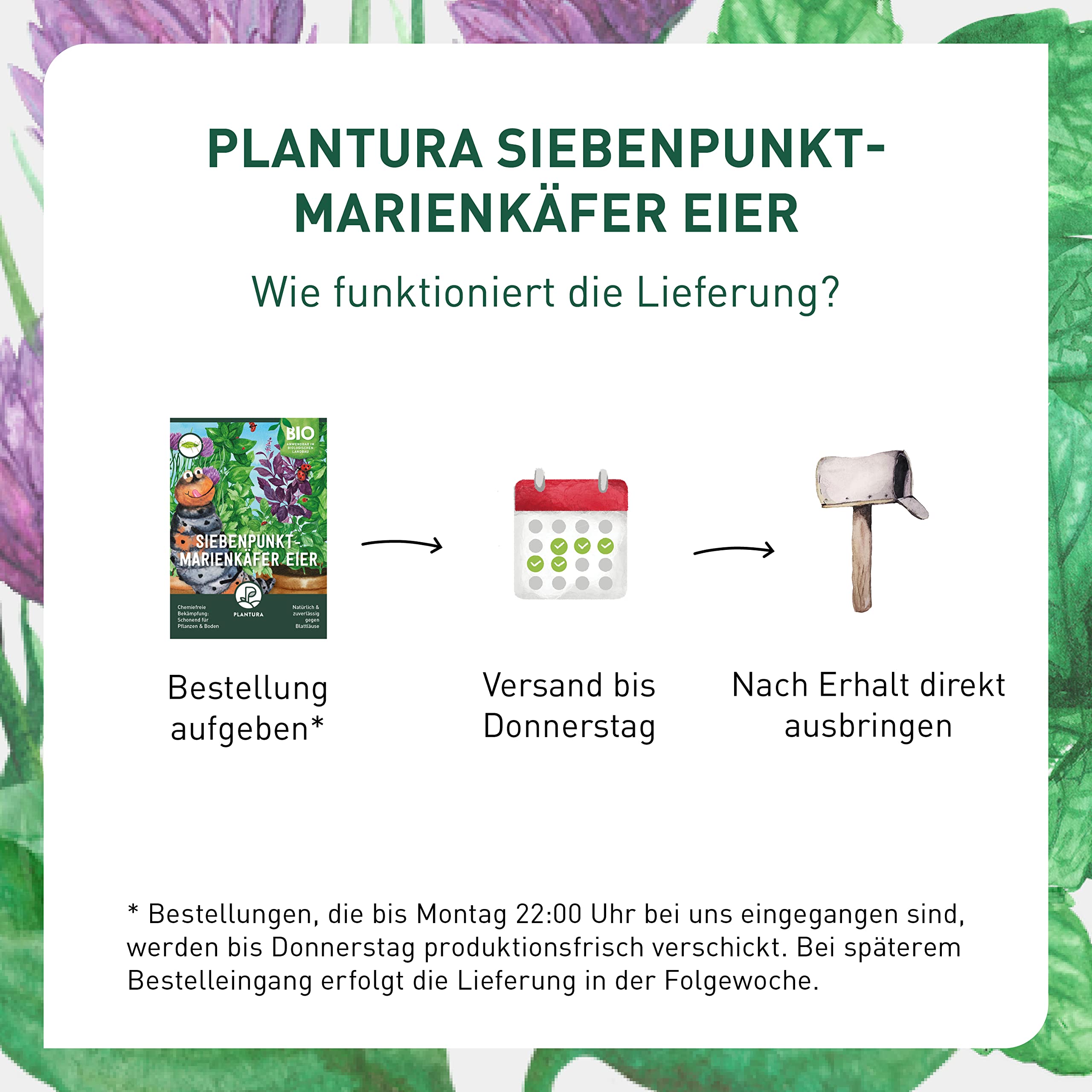Plantura Siebenpunkt-Marienkäfer Eier gegen Blattläuse, wirksam & nachhaltig, 150 Nützlinge